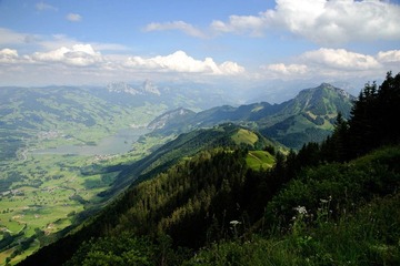DSC_4879.jpg