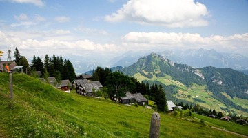 DSC_4925.jpg