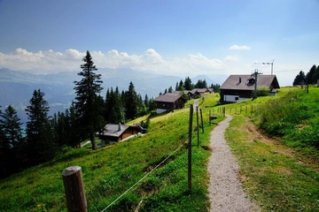 DSC_4952.jpg