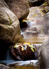 DSC_6766_lr.jpg
