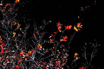 DSC_6876_lr.jpg