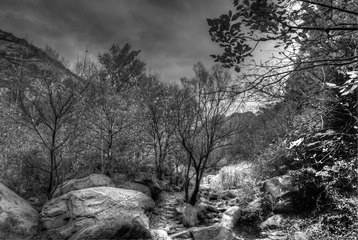 DSC_2098_lr_-2_-3_-4_tonemapped_lr.jpg
