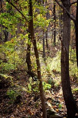 DSC_6728_lr.jpg