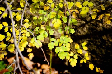 DSC_6919_lr.jpg