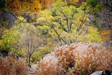 DSC_6847_lr.jpg