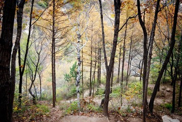 DSC_2094_lr.jpg