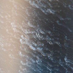DSC_8199_lr_水.jpg