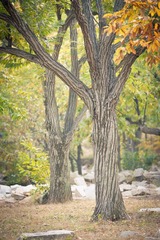 DSC_8594_lr.jpg