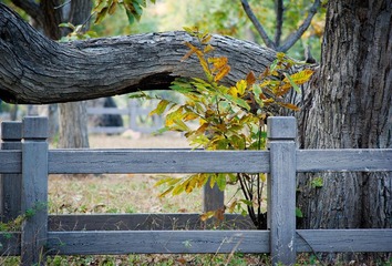 DSC_8624_lr.jpg