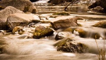 DSC04281_lr.jpg