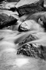 DSC04288_lr.jpg