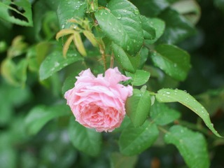 33F0EB15-1F51-420D-9558-B55F4B3E1593/L0/001
