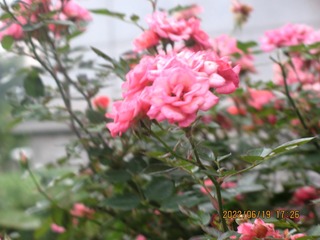 F208D68F-7F4C-4B63-AC52-78503B668E1A/L0/001