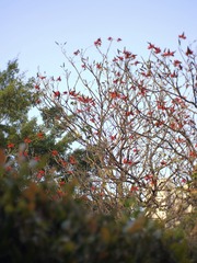 C04DBAF5-AB56-43CB-BBBE-CE06FE8E2946/L0/001