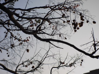 B462BE02-F82D-4B6E-B90C-48036F5B1DD5/L0/001