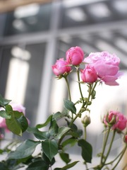 15404B40-DB16-491C-B095-56C5834ED3D1/L0/001