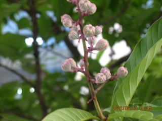 4B78AAFF-240E-4BBB-A167-1CE8810B7E57/L0/001