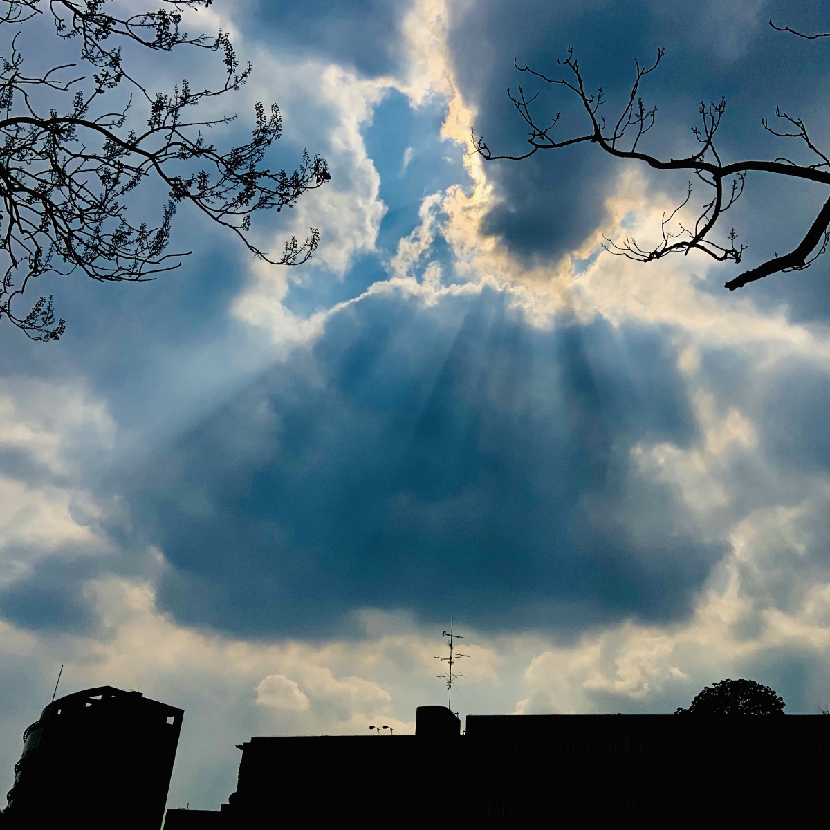 阳光明媚的下午