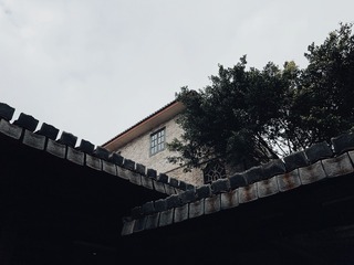 FE64E7DF-6FA1-429F-A66C-B95BDCEC40C7/L0/001