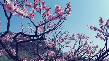 6AB8EB63-A92D-493E-9675-110F57E5FFB0/L0/001