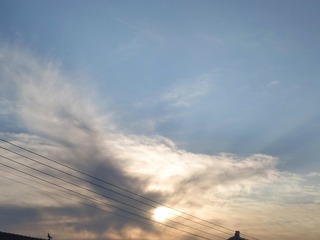 1259261
