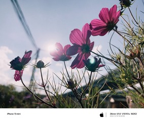 F5FB7552-9DFB-48C2-8F30-19C0B9318D97/L0/001