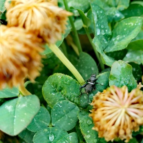 nuvolediluce标为日出日落奇迹时间的图博 - nuvolediluce - 图虫摄影