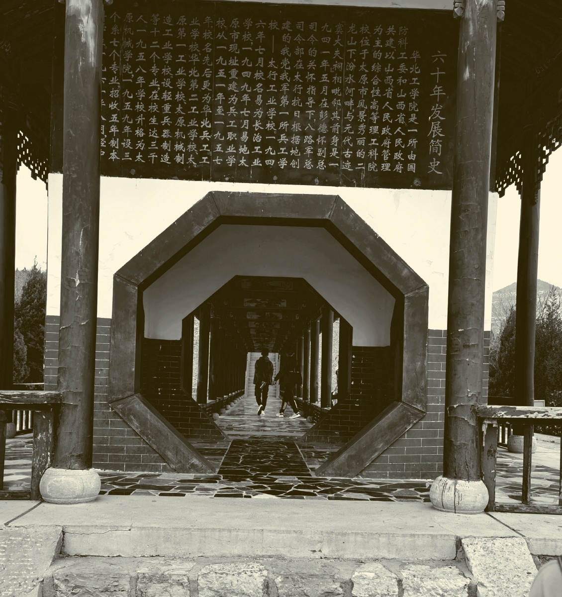 白衣染霜华a - 图虫