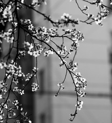 EB25C05C-2AF8-4BEE-B869-6833834014F6/L0/001