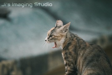 775180