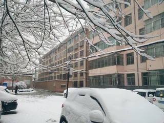 1163951