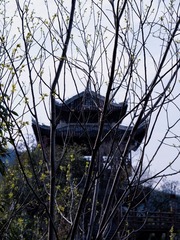 CE073D7F-24AE-430D-899C-A730BA2C9AE0/L0/001