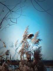 52D61935-F13B-43DA-B391-D0BBD3442195/L0/001