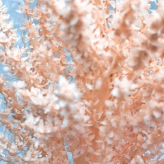 F44F67C8-E8EF-43FF-8744-0272B344C31E/L0/001