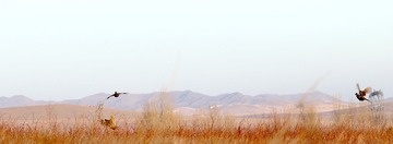 F35457CF-8E92-401C-98A4-44E16A565E0F/L0/001