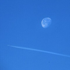 884958D1-CC8F-4220-9561-9F5BC860E7D8/L0/001