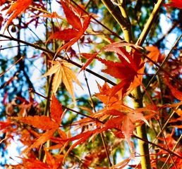 E2D9428B-C68D-45C8-BEAE-7FF3F4870D9F/L0/001