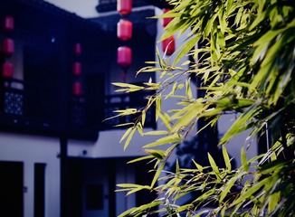 8F05E33F-D128-4361-BC16-0365FB780B63/L0/001