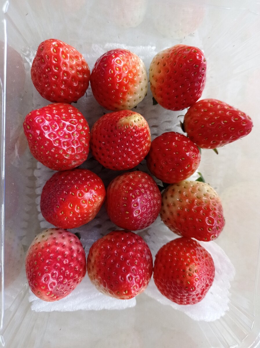 一盒草莓