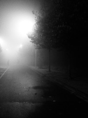 D2D4E818-191B-468C-8CFE-699B9B21372A/L0/001