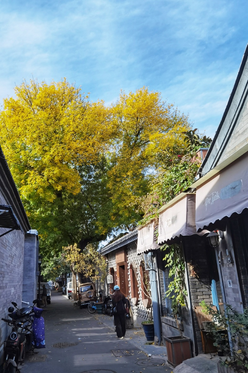 北京胡同秋景