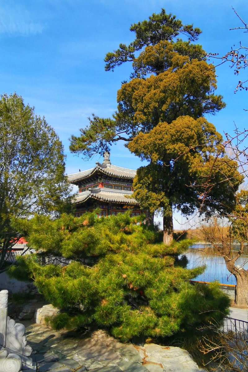 北海公园琼岛春阴冬日的北海也很美