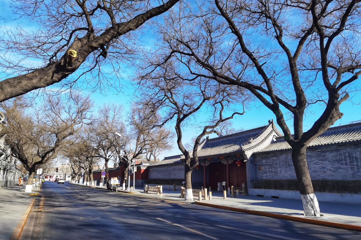 北池子大街的红墙和树影故宫角楼的冰河和新人北京冬日特有的美