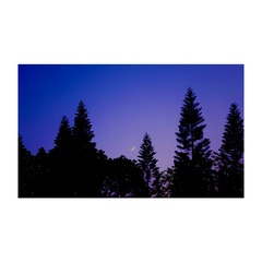 8937D472-E78A-478E-B193-56A268AC2B6C/L0/001