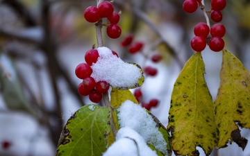 1DFA91D7-1988-4535-B69E-0DEC21377B9E/L0/001