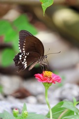 16F8BDAC-E1D1-4517-BE54-E9095B4FA504