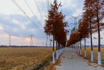 5C412D7B-051D-49E4-BA76-1E66FE4655BC