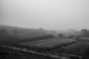 7132402C-4D87-4E9C-A9CB-33F3304E384B/L0/001