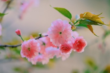 86ED78E7-C75D-485B-8D98-3FAC12F617AB/L0/001