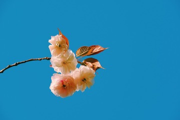 E9F38C4D-5E03-4B53-8347-53137D0A4395/L0/001
